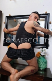 Vicente , Escort en Puerto Montt